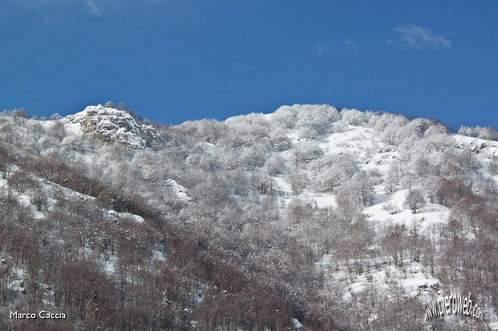 12_neve sugli alberi.JPG